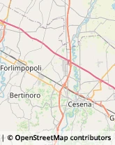 Giornalai Cesena,47522Forlì-Cesena