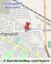 Via Papa Giovanni XXIII, 20,47034Forlimpopoli