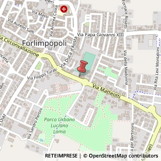 Mappa Viale G. Matteotti, 17, 47034 Forlimpopoli, Forlì-Cesena (Emilia Romagna)