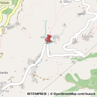 Mappa Via Pometo, 50, 19015 Levanto, La Spezia (Liguria)