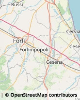 Medicina del Lavoro - Medici Specialisti Forlimpopoli,47034Forlì-Cesena