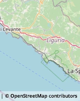 Tour Operator e Agenzia di Viaggi Levanto,19015La Spezia