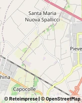 Tipografie Cesena,47521Forlì-Cesena