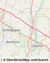 Tipografie Cesena,47522Forlì-Cesena