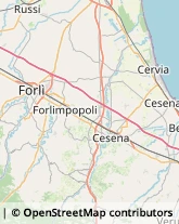 Tipografie Cesenatico,47042Forlì-Cesena