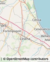 Consulenze Speciali Forlimpopoli,47034Forlì-Cesena