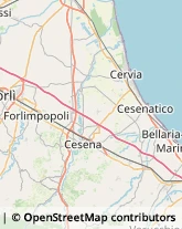 Otorinolaringoiatria - Medici Specialisti Cesenatico,47042Forlì-Cesena