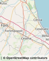 Otorinolaringoiatria - Medici Specialisti Forlì,47121Forlì-Cesena