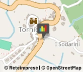 Bar e Caffetterie,58036Grosseto