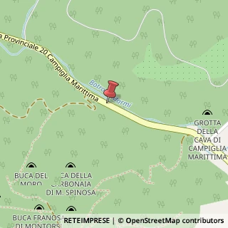 Mappa Via Sebastiano Ricci, 11, 57021 Campiglia Marittima, Livorno (Toscana)