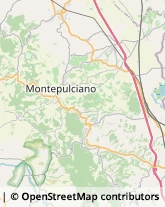 Alberghi Montepulciano,53045Siena