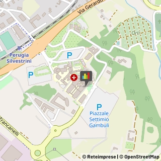 Dermatologia - Medici Specialisti Perugia,06129Perugia