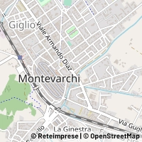 Kort Montevarchi