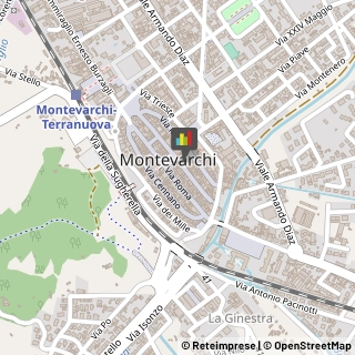 Fisiokinesiterapia - Medici Specialisti Montevarchi,52025Arezzo