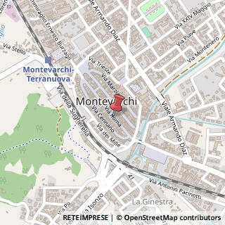 Mappa Via Roma, 102, 52025 Montevarchi, Arezzo (Toscana)