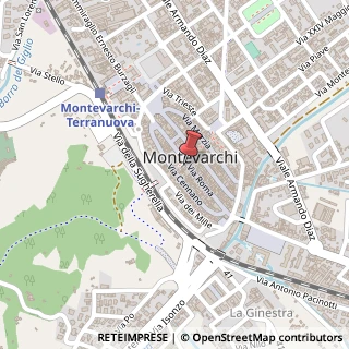 Mappa Via roma 72, 52025 Montevarchi, Arezzo (Toscana)