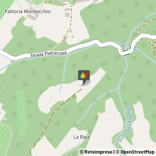 Aziende Agricole,50021Firenze