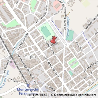 Mappa Via tani sante 18, 52025 Montevarchi, Arezzo (Toscana)