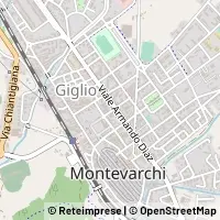 Kort Montevarchi