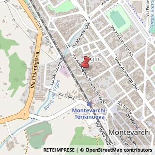 Mappa Via Ammiraglio Burzagli, 82, 52025 Montevarchi, Arezzo (Toscana)