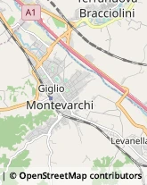 Aziende Agricole Montevarchi,52025Arezzo