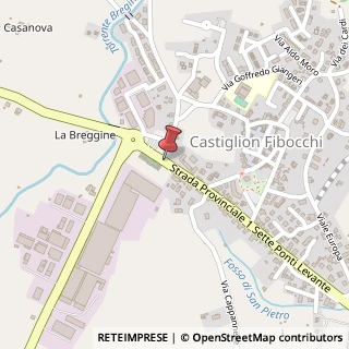 Mappa Via Cassano, 207, 52029 Castiglion Fibocchi, Arezzo (Toscana)