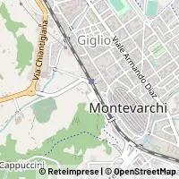 Map Montevarchi