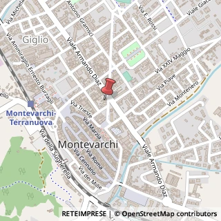 Mappa Piazza Toti, 3, 52025 Montevarchi, Arezzo (Toscana)