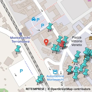 Mappa Piazza Giuseppe Mazzini, 52025 Montevarchi AR, Italia (0.08148)