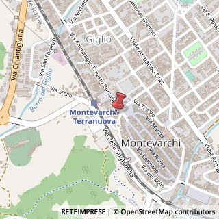Mappa Piazza mazzini 5, 52025 Montevarchi, Arezzo (Toscana)