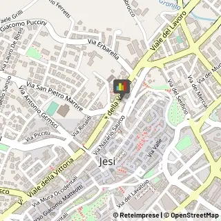 Integratori Alimentari,60035Ancona