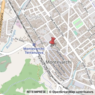 Mappa Piazza Vittorio Veneto, 14/A, 52025 Montevarchi, Arezzo (Toscana)