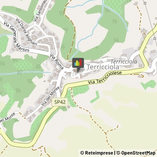 Osterie e Trattorie Terricciola,56030Pisa