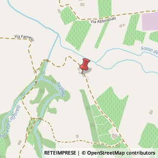 Mappa Via Farneto, 18/20, 60030 Serra De' Conti, Ancona (Marche)