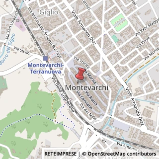 Mappa Via Roma, 49, 52025 Montevarchi, Arezzo (Toscana)