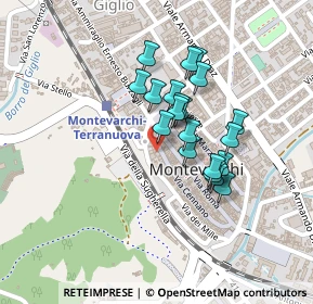 Mappa Via IV Novembre, 52025 Montevarchi AR, Italia (0.172)