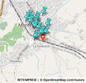Mappa Via Alessandro Volta, 52025 Montevarchi AR, Italia (0.368)