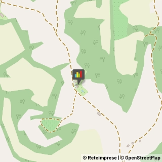 Agriturismi Peccioli,56037Pisa