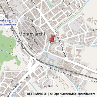Mappa Via Gorizia, 12, 52025 Montevarchi, Arezzo (Toscana)