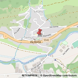 Mappa Via Adamello, 14, 25050 Temù, Brescia (Lombardia)