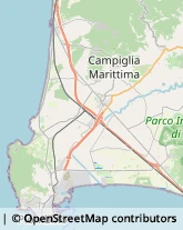 Autofficine e Centri Assistenza Campiglia Marittima,57021Livorno