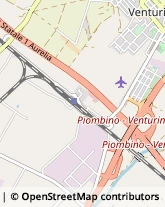 Autofficine e Centri Assistenza San Vincenzo,57027Livorno