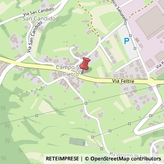Mappa Via campo san pietro 65, 32026 Mel, Belluno (Veneto)