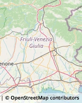 Avicoltura Pozzuolo del Friuli,33050Udine