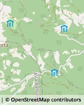 Agenzie Immobiliari Borgo Valsugana,38051Trento