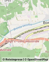 Autofficine e Centri Assistenza Borgo Valsugana,38051Trento