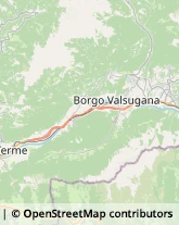 Assicurazioni Borgo Valsugana,38051Trento