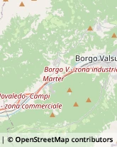 Stazioni di Servizio e Distribuzione Carburanti Telve,38050Trento