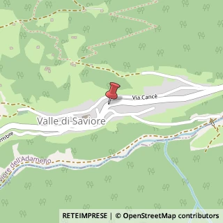 Mappa Via Trento, 96, 25040 Saviore dell'Adamello, Brescia (Lombardia)