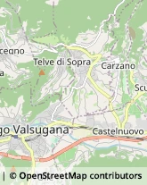 Aziende Agricole Borgo Valsugana,38051Trento